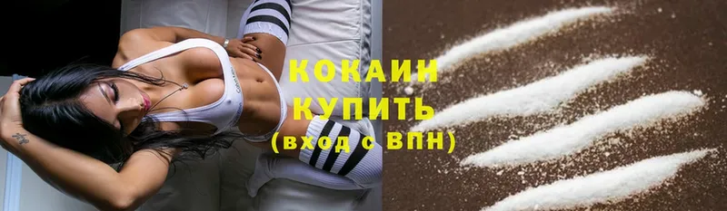 где продают   Сокол  Cocaine Боливия 